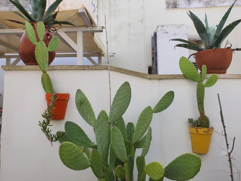 بارابيتا Casa Vacanze Marangon المظهر الخارجي الصورة